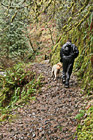 Hiker & Dog on Trail photo thumbnail