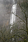 Multnomah Falls Behind Mossy Tree photo thumbnail