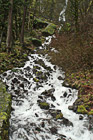 Wahkeena Falls photo thumbnail