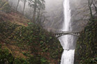 Multnomah Falls & Fog photo thumbnail