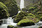 Elowah Falls photo thumbnail