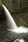 Ponytail Falls photo thumbnail