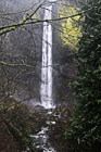 Latourell Falls, Bridge & Trees photo thumbnail