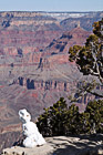 Snowman & Grand Canyon photo thumbnail