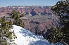 Snow, Trees, & Grand Canyon View photo thumbnail