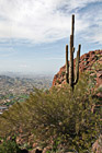 Camelback Mountain & Cactus photo thumbnail