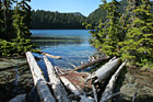 Mowich Lake & Logs photo thumbnail