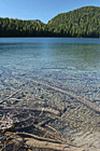 Mowich Lake & Clear Water photo thumbnail
