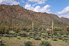 Arizona Landscape photo thumbnail