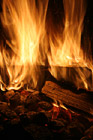 Camping Trip Fire Pit photo thumbnail