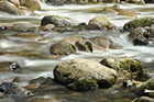 Streaming River & Big Rock photo thumbnail