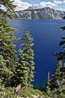 Crater Lake Through Trees photo thumbnail