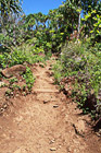 On the Kalalau Trail photo thumbnail