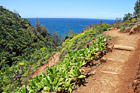 Kalalau Trail on Na Pali Coast photo thumbnail