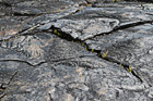 Lava Field Close Up photo thumbnail