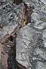 Cracked Lava Field photo thumbnail