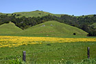 Marin County Landscape of Hills photo thumbnail