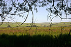 Point Reyes Landscape Scene photo thumbnail