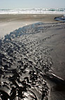 Kehoe Beach Sand & Waves photo thumbnail