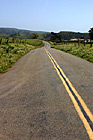 Marin County Farm Road photo thumbnail