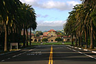 Stanford University from Palm Drive photo thumbnail