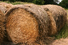 Bundles of Hay photo thumbnail