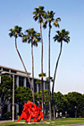 Downtown Beverly Hills, California Palm Trees photo thumbnail