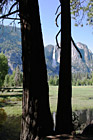 Yosemite Falls & Reflection Through Trees photo thumbnail