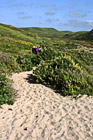 Hiking at Kehoe Beach, California photo thumbnail