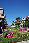 San Francisco's Lombard Street photo thumbnail