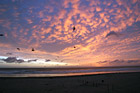 Seaside, Oregon Sunset & Birds photo thumbnail