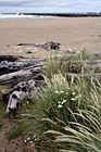 Discovery Point : Oregon Coast & Beach photo thumbnail