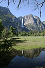 Yosemite Falls Reflection photo thumbnail