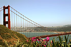 Golden Gate Bridge & Flowers photo thumbnail