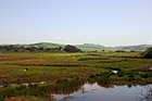 Point Reyes, Marin County photo thumbnail