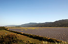 Tomales Bay, California photo thumbnail