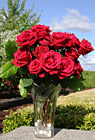 Flowers in a Vase Outside photo thumbnail