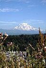 Mt. Rainier from Bonney Lake photo thumbnail