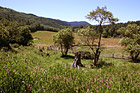 Farmland in Summer photo thumbnail