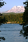 Mt. Rainier Through Trees & Lake photo thumbnail