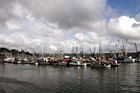 Sailboats of Newport, Oregon photo thumbnail