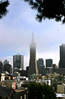 San Francisco & Transamerica Pyramid photo thumbnail