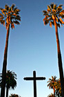 Cross & Two Tall Palm Trees photo thumbnail