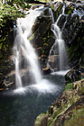 Paradise River Falls photo thumbnail