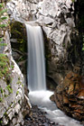 Christine Falls photo thumbnail