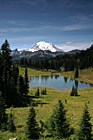 Mount Rainier at Tipsoo Lake photo thumbnail