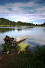 Log & Reflection Lake photo thumbnail