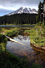 Mount Rainier Reflection & Log photo thumbnail