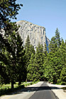 El Capitan & Forest Road photo thumbnail