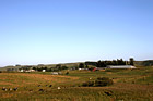 Cows, Hay, & Farm photo thumbnail